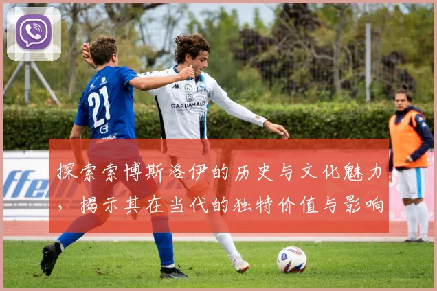 探索索博斯洛伊的历史与文化魅力，揭示其在当代的独特价值与影响力
