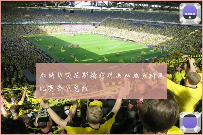 加纳与突尼斯精彩对决回放分析及比赛亮点总结